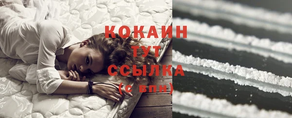 молекула духа Аркадак