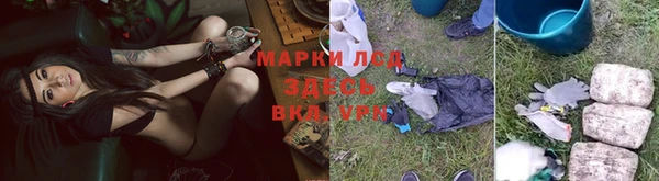 молекула духа Аркадак