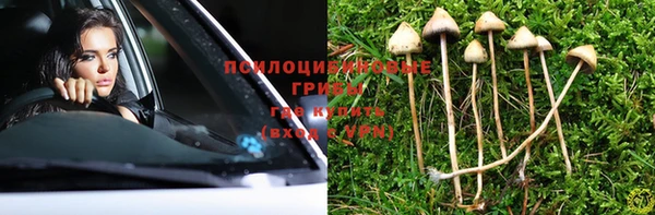 молекула духа Аркадак