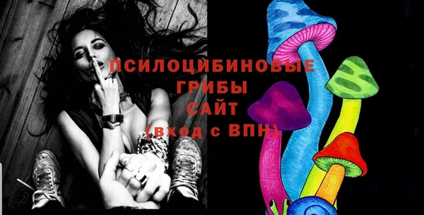 молекула духа Аркадак
