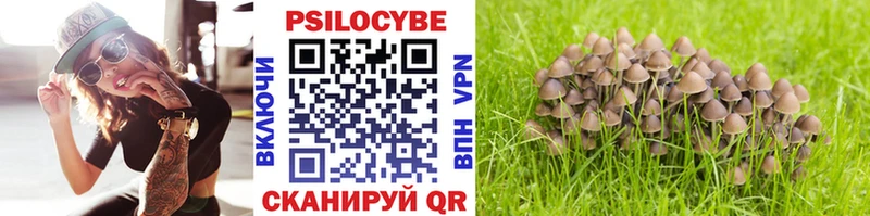 Псилоцибиновые грибы Magic Shrooms  где продают   Фрязино 